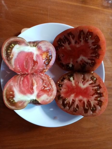  - TOMATE 2020 ALBUM 15