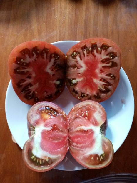  - TOMATE 2020 ALBUM 15
