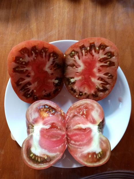  - TOMATE 2020 ALBUM 15