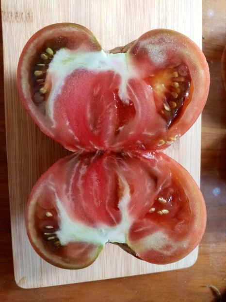  - TOMATE 2020 ALBUM 15