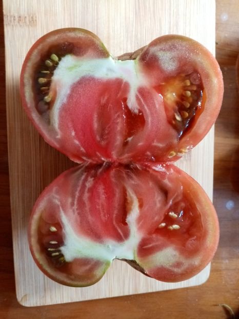  - TOMATE 2020 ALBUM 15
