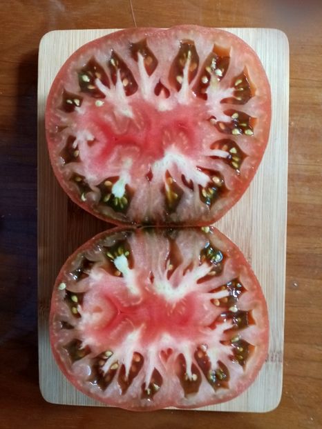  - TOMATE 2020 ALBUM 15