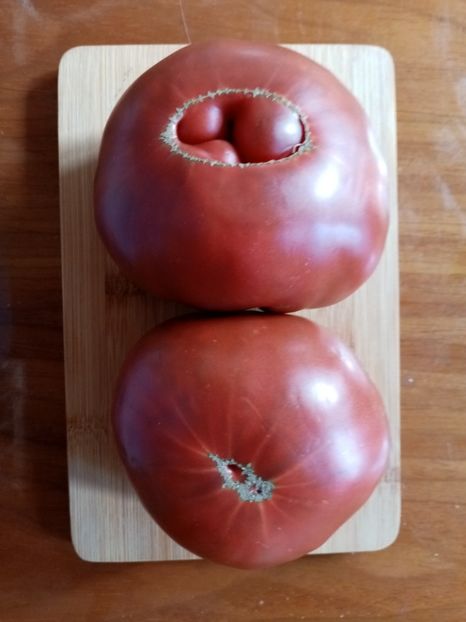  - TOMATE 2020 ALBUM 15