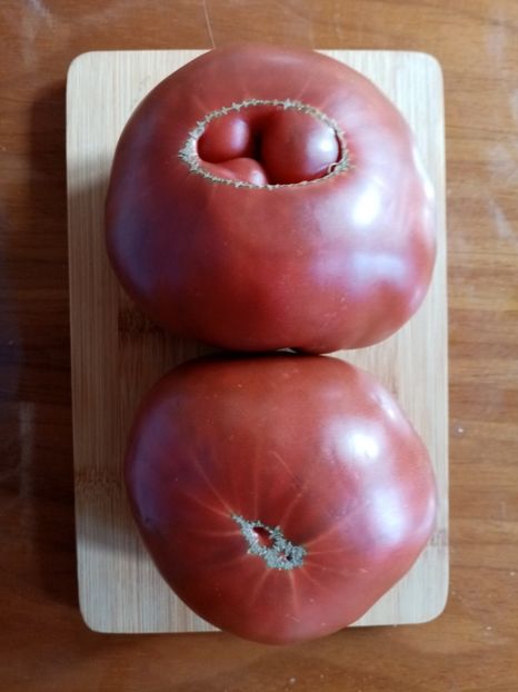  - TOMATE 2020 ALBUM 15