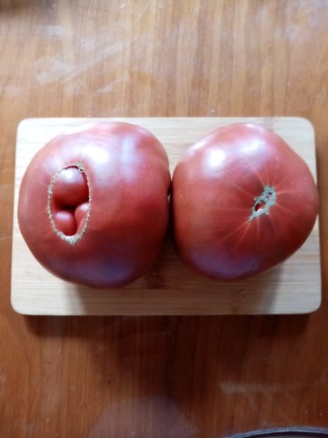  - TOMATE 2020 ALBUM 15