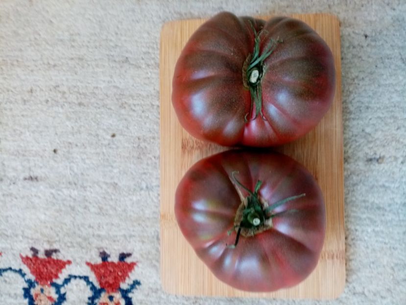 CHEROKEE CHOCOLATE - TOMATE 2020 ALBUM 15
