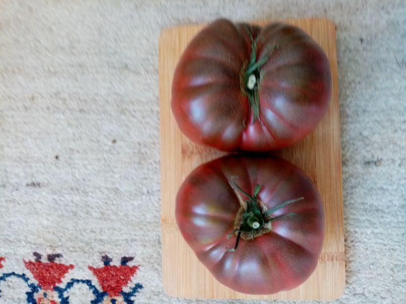 CHEROKEE CHOCOLATE - TOMATE 2020 ALBUM 15