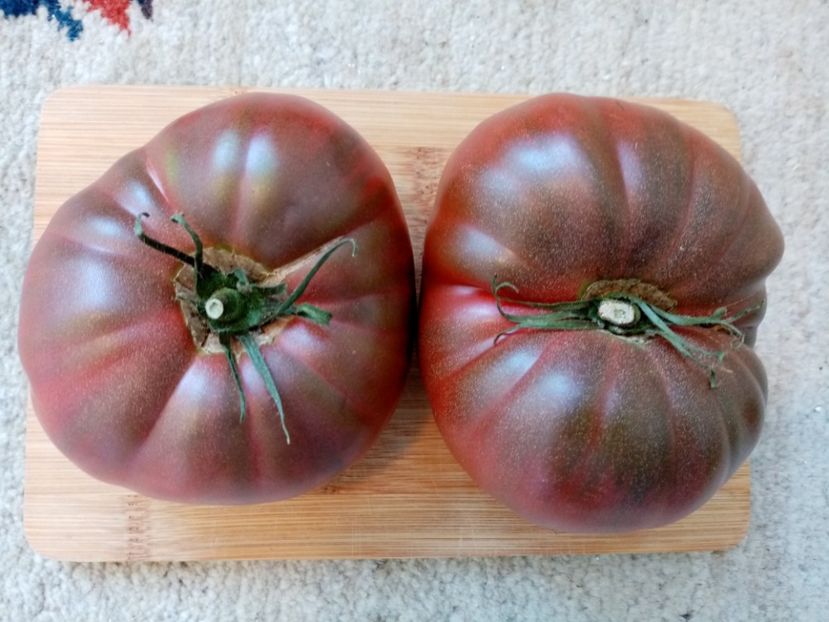 CHEROKEE CHOCOLATE - TOMATE 2020 ALBUM 15