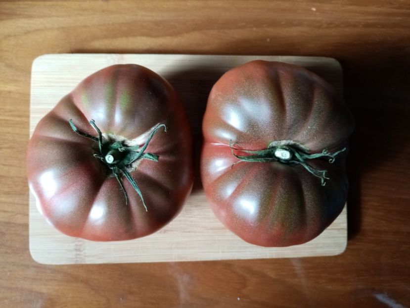  - TOMATE 2020 ALBUM 15