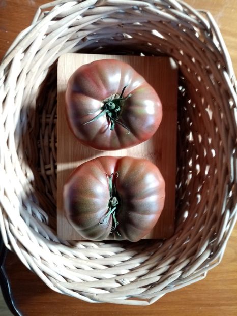  - TOMATE 2020 ALBUM 15