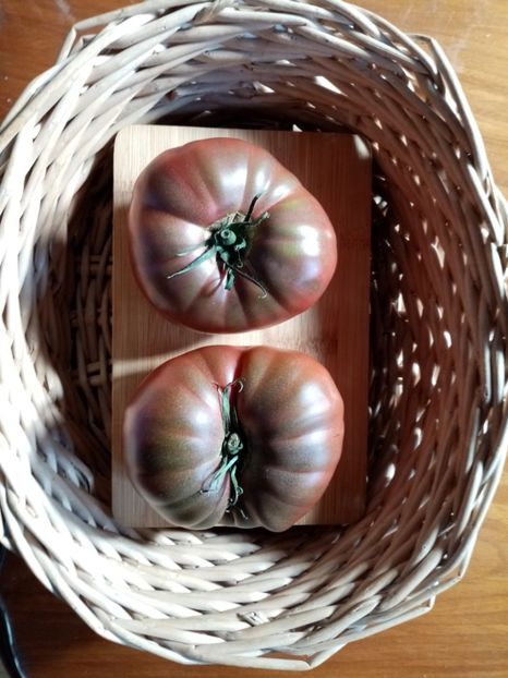  - TOMATE 2020 ALBUM 15