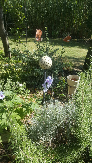 septembrie 2020 - Gradina si terasa PrimaLuce_7-Hello 2020