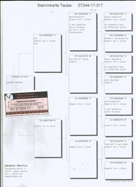 44ped - Porumbei super top 2020 achizitii