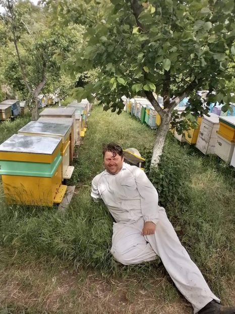 received_1151854458516144 - 11 Prin gradina