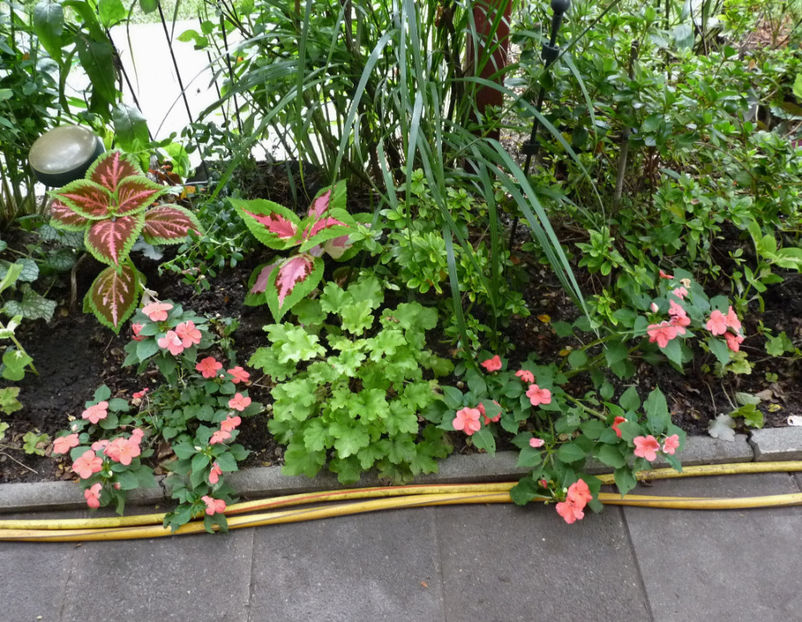  - 2020 - 03 - Toamna