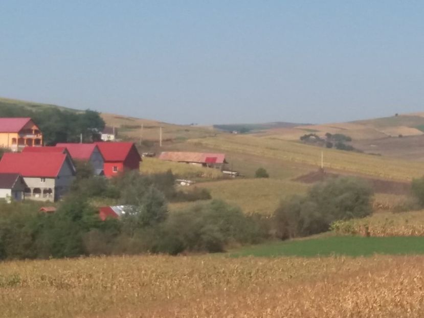  - Satu Nou
