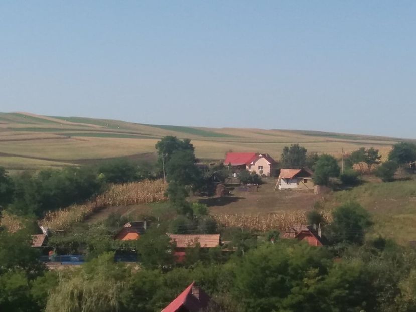  - Satu Nou