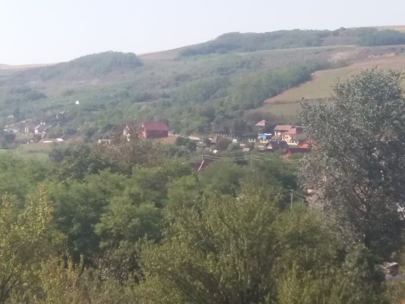  - Satu Nou