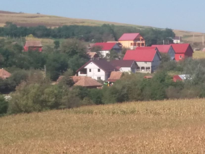  - Satu Nou
