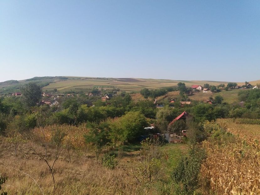  - Satu Nou