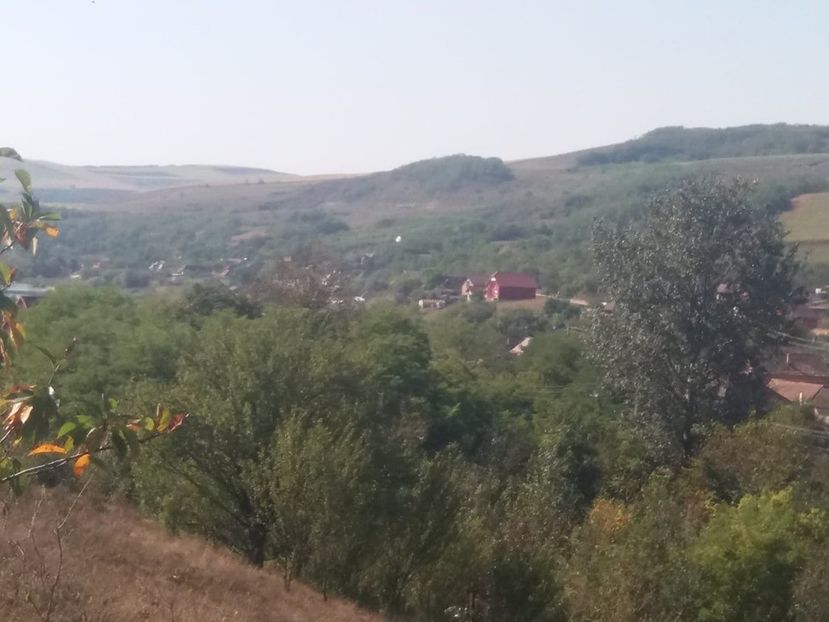  - Satu Nou