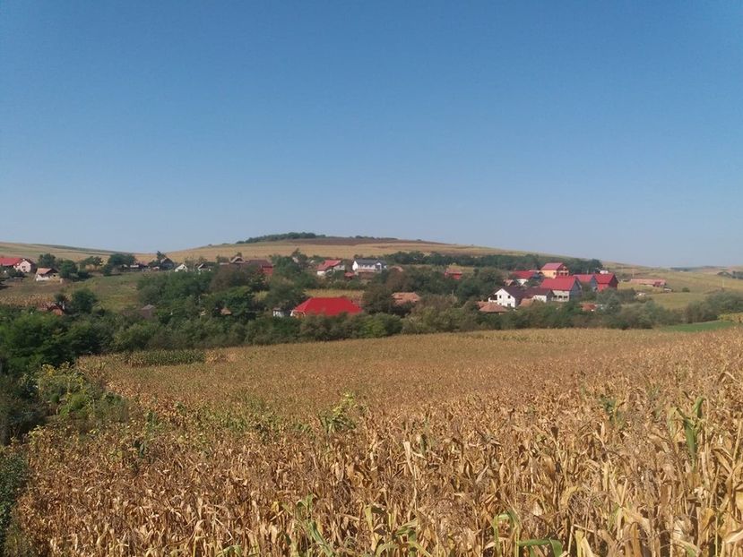  - Satu Nou