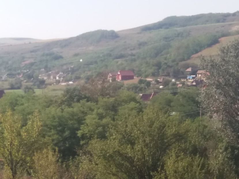  - Satu Nou