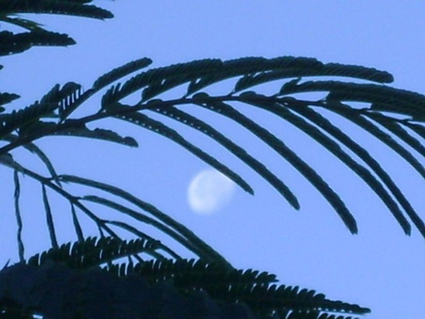 Luna in scadere in Berbec - Luna - Soarele si norii - 2