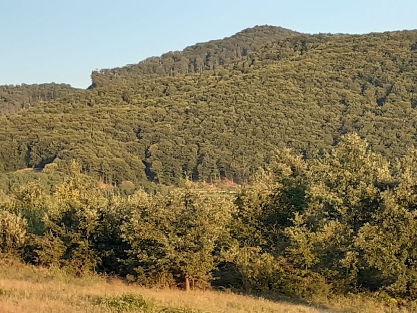  - Un apus de soare în septembrie la pindă