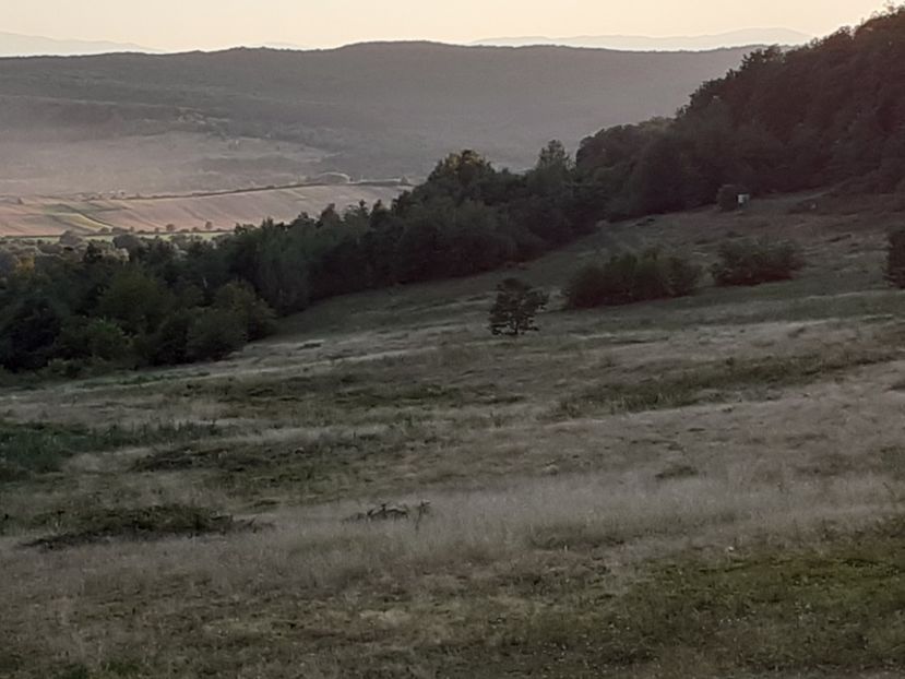  - Un apus de soare în septembrie la pindă