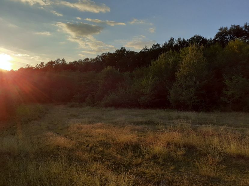  - Un apus de soare în septembrie la pindă