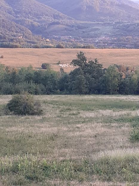  - Un apus de soare în septembrie la pindă