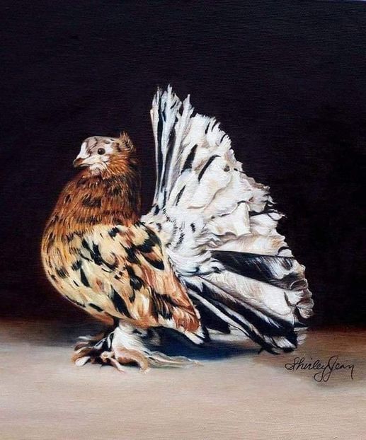  - NU AMI APARTIN 2020