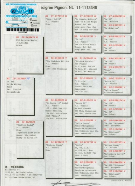 12512a1113349 - Porumbei super top 2020 achizitii