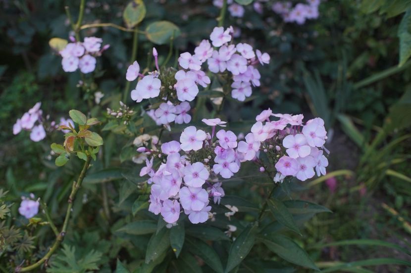  - Septembrie 2019- septembrie 2020