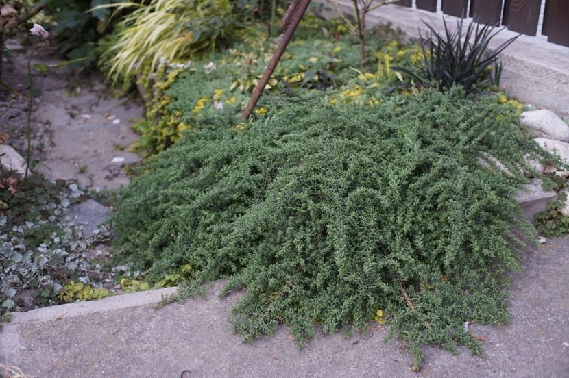  - Septembrie 2019- septembrie 2020