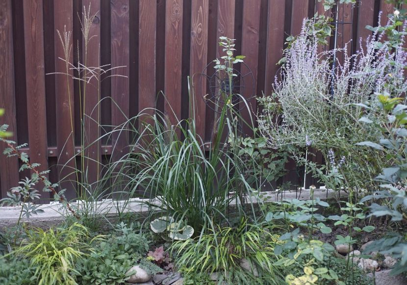  - Septembrie 2019- septembrie 2020