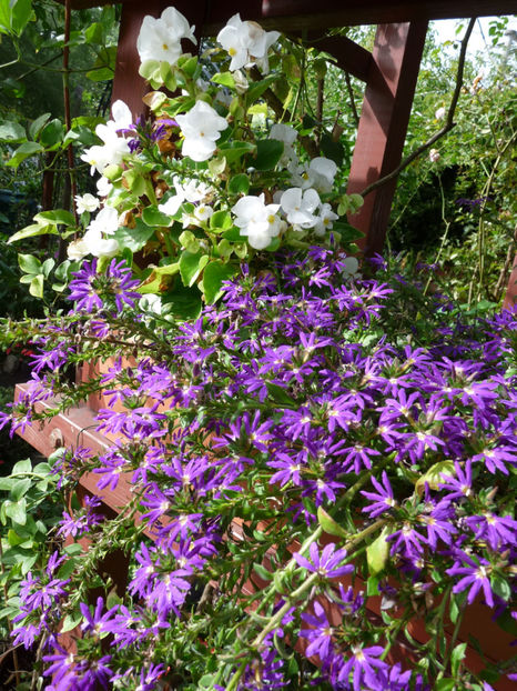  - 2020 - 03 - Toamna