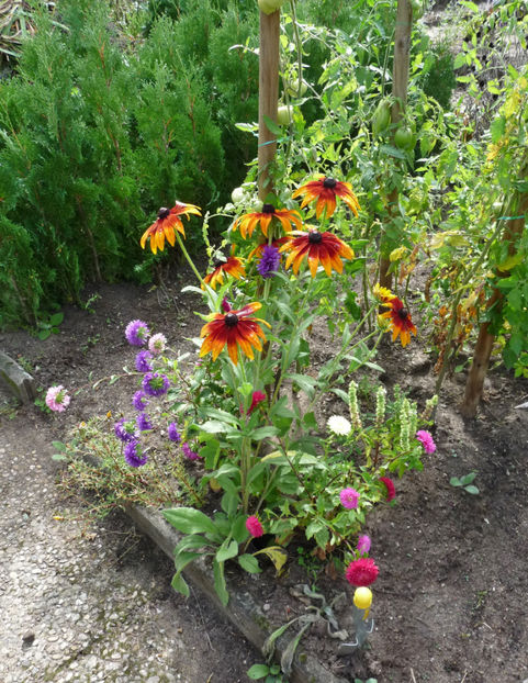  - 2020 - 03 - Toamna