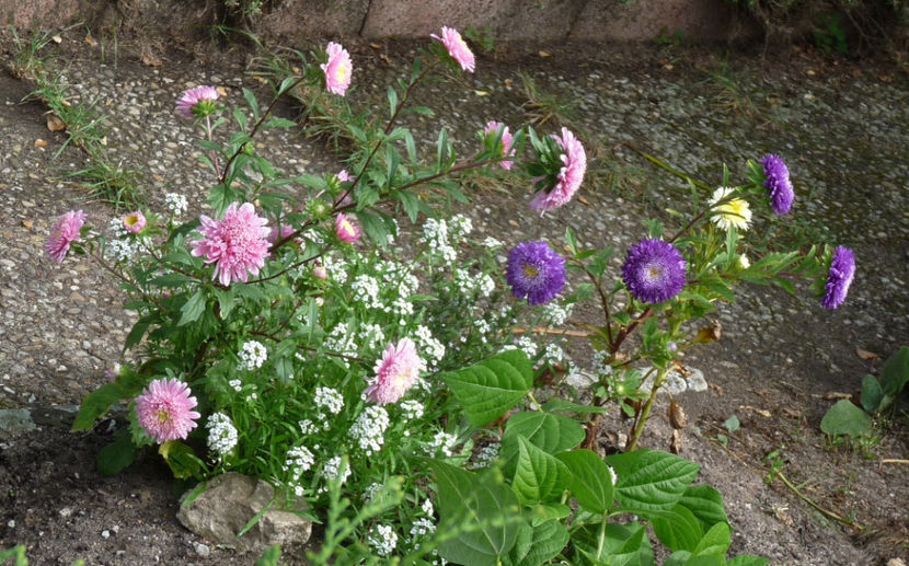  - 2020 - 03 - Toamna