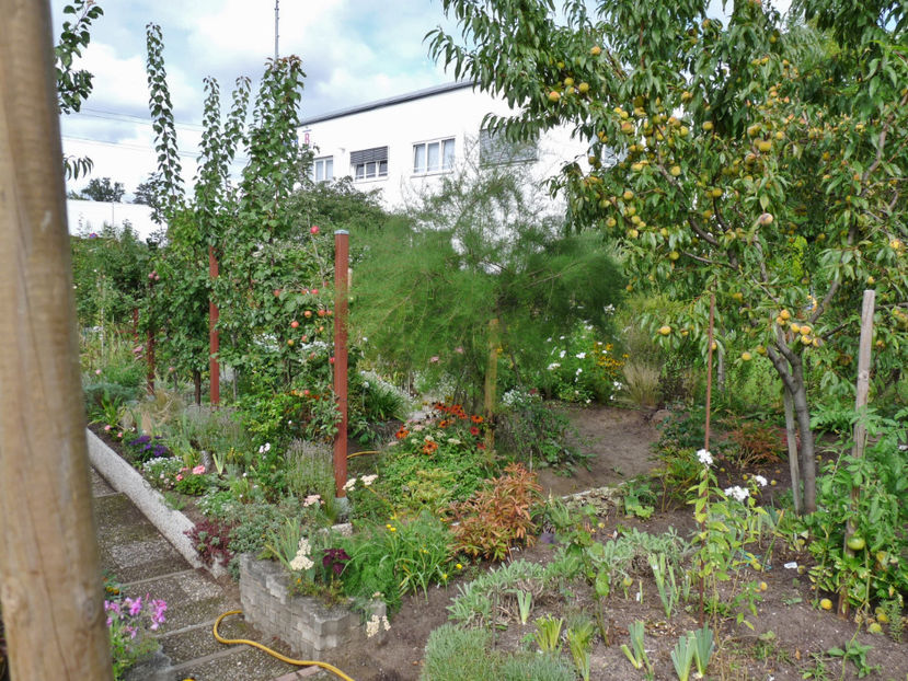  - 2020 - 03 - Toamna