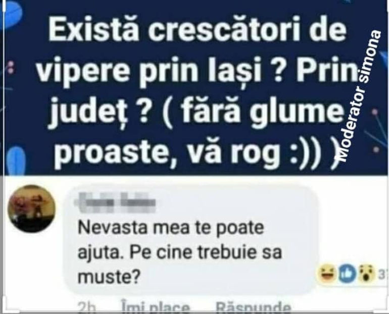  - Bancuri cu Moldoveni