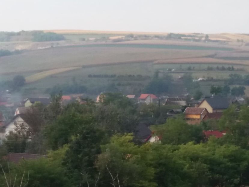  - Satu Nou