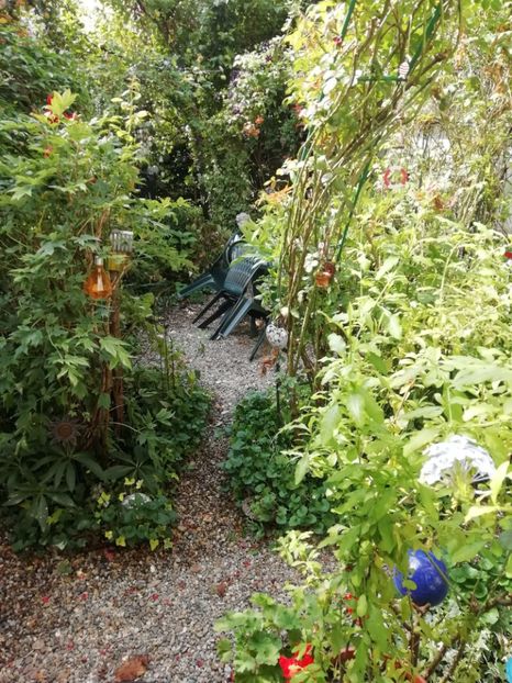  - Grădina 2020 continuare 2