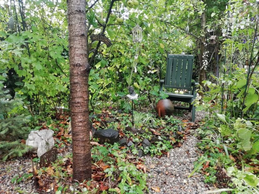  - Grădina 2020 continuare 2