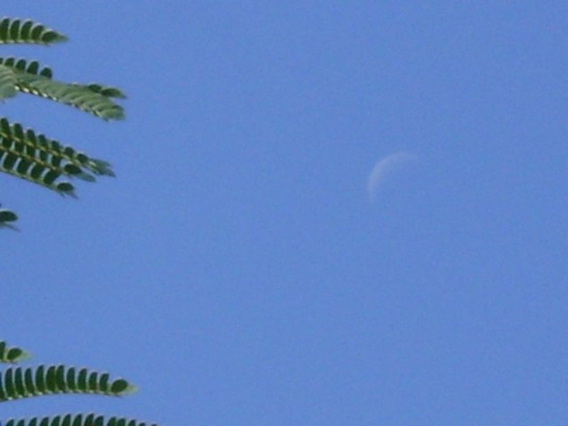 Luna in scadere in Rac - Luna - Soarele si norii - 2