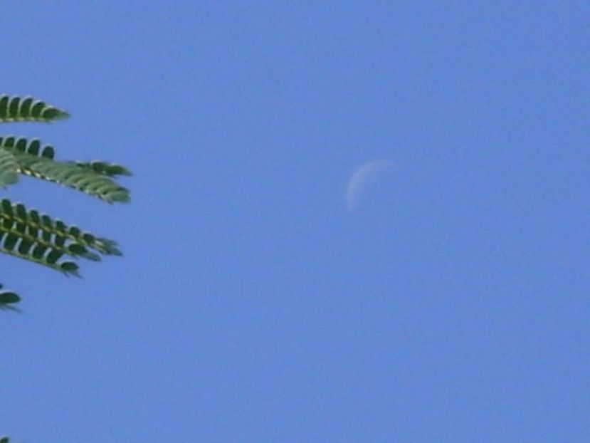 Luna in scadere in Rac - Luna - Soarele si norii - 2