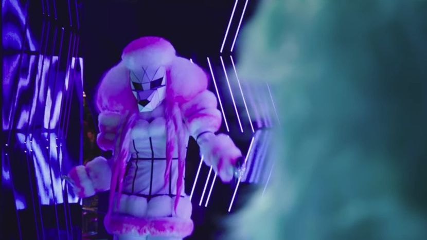 Masked Singer - Masked Singer 2020-Prezent