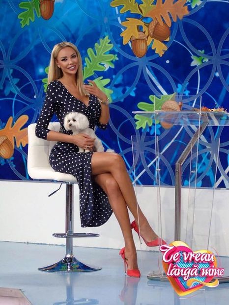 Te Vreau Langa Mine - Te Vreau Langa Mine 2010-2018