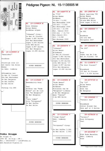 78783a15-1135505-1 - Porumbei super top 2020 achizitii